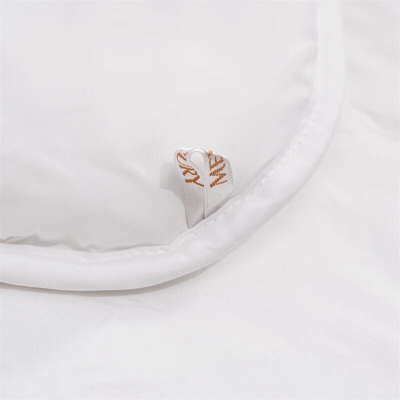 Mercury Home Textiles Antibacterial Australian Wool Quilt