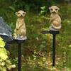 1Pc Solar Resin Lamp, Meerkat Lamp on The Ground, Decorate Outdoor Garden, Courtyard Light, Garden Roadside LED Night Light