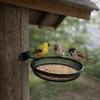 Wall Mounted Bird Feeding Tray Large Capacity Wild Bird Feeder Outdoor Bird Feeder  Wall Hanging