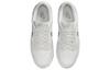 Nike Dunk Low Retro Summit White Light Smoke Grey DV0831-106
