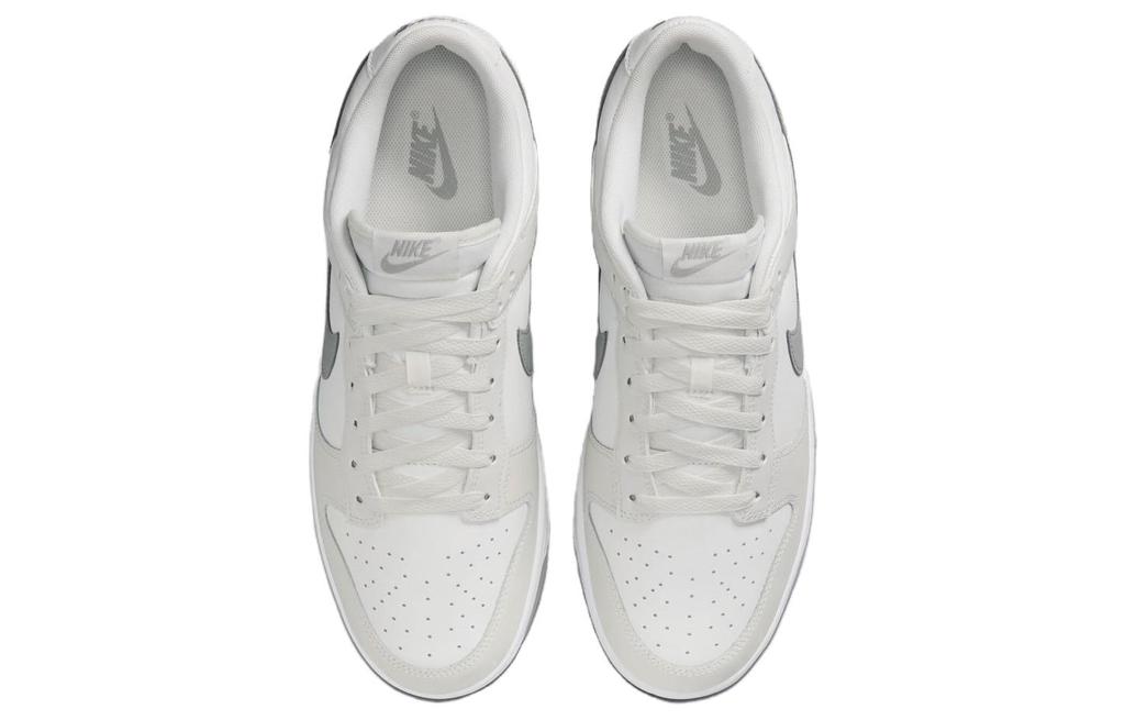 Nike Dunk Low Retro Summit White Light Smoke Grey DV0831-106