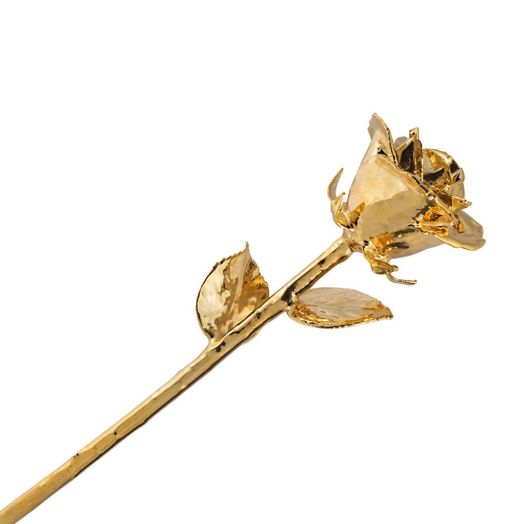 @ Artificial Gold Dipped Rose Flower For Valentine Day And Anniversary C184 Zr1084-60%Off