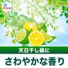Ariel Liquid Laundry Room Drying Extra Eliminates Damp Odors When Drying Rooms with Vertical and Drum Detergent, Plus, Refill, 2.6kg + Capacity,