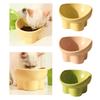 Raised Cat Bowl Small Dog Waterer Protect Pet's Spine Stable Durable Tilted Pet Feeder Kitten Water Bowl for Small Medium Dogs