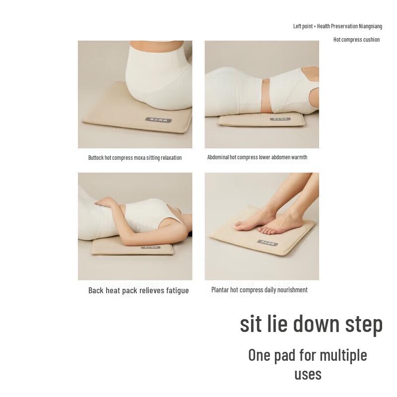 Zodian Health Empress Smart Heated Cushion