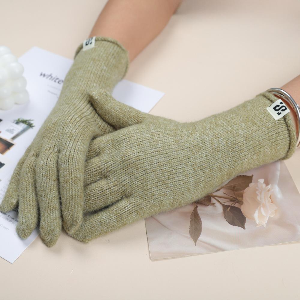 Women's Winter Cold proof Outdoor Windproof and Warm Cycling Korean Version Versatile Thickened Student Ski Gloves