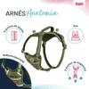 Dog Harness Company of Animals Green L 42-65 cm