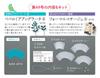 Fun Tsumami Zaiku 49 No. [Encyclopedia] (with kit)