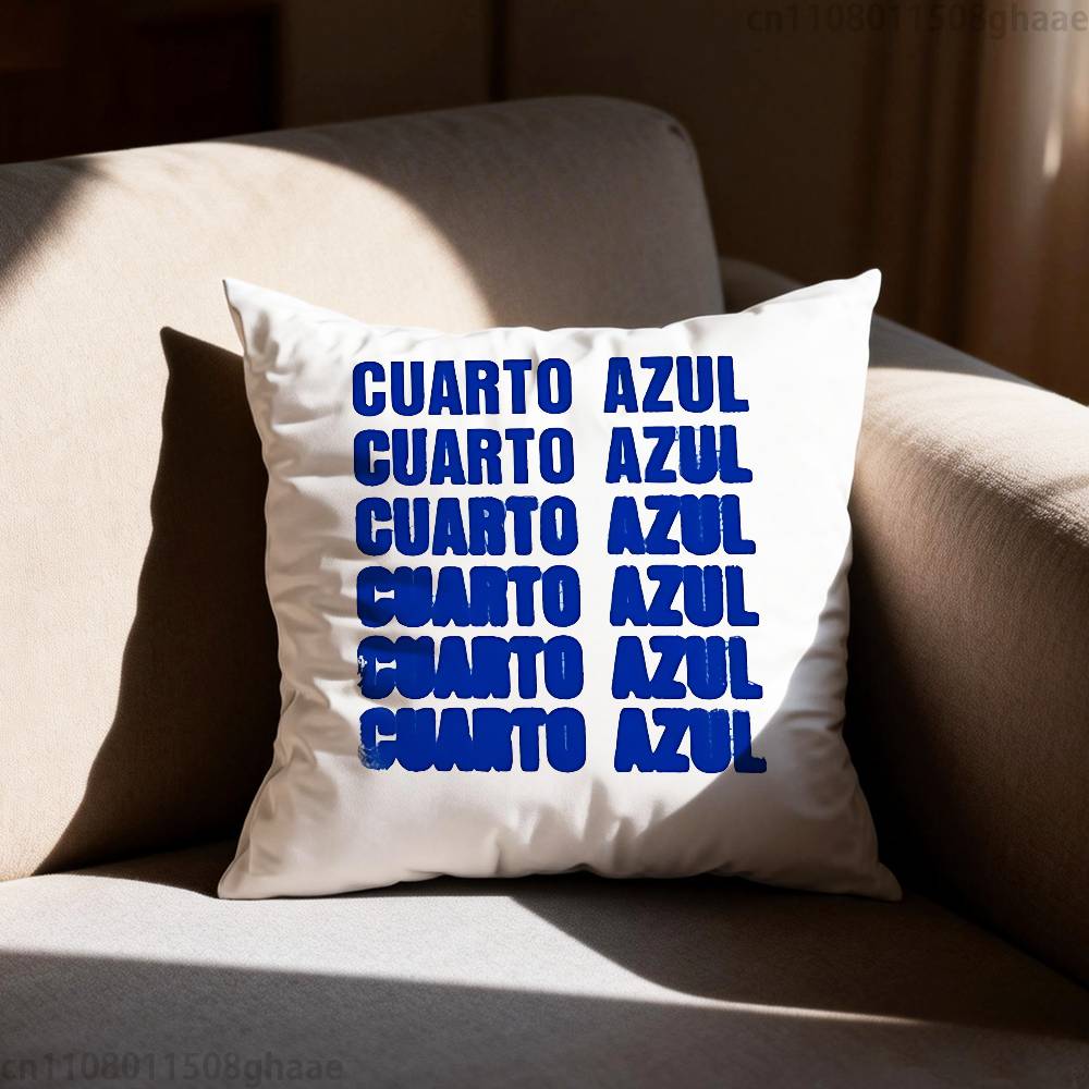 AAitana Cuarto azul Pillow Case Square DoubleSided Printing Short Plush Sofa Cushion Cover Bedroom Bedside Pillow