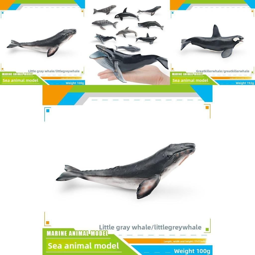Kinder Meeresbewohner PVC Modellset mit realistischen Wal- und Delfinfiguren für pädagogisches Spiel
