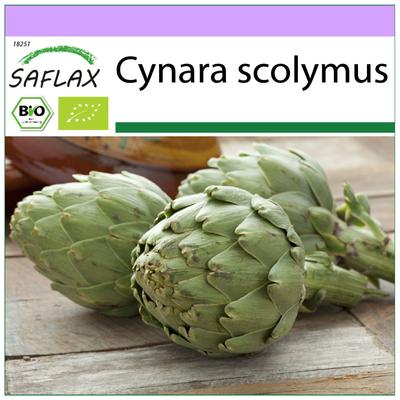Biologico - Carciofo - Stella Imperiale - 5 semi - Cynara scolymus