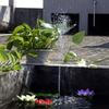 Fontana Solare da 13cm/16cm con 6 Ugelli Avviamento Rapido Alta Efficienza Alimentata a Energia Solare Pompa Fontana per Bagno Uccelli