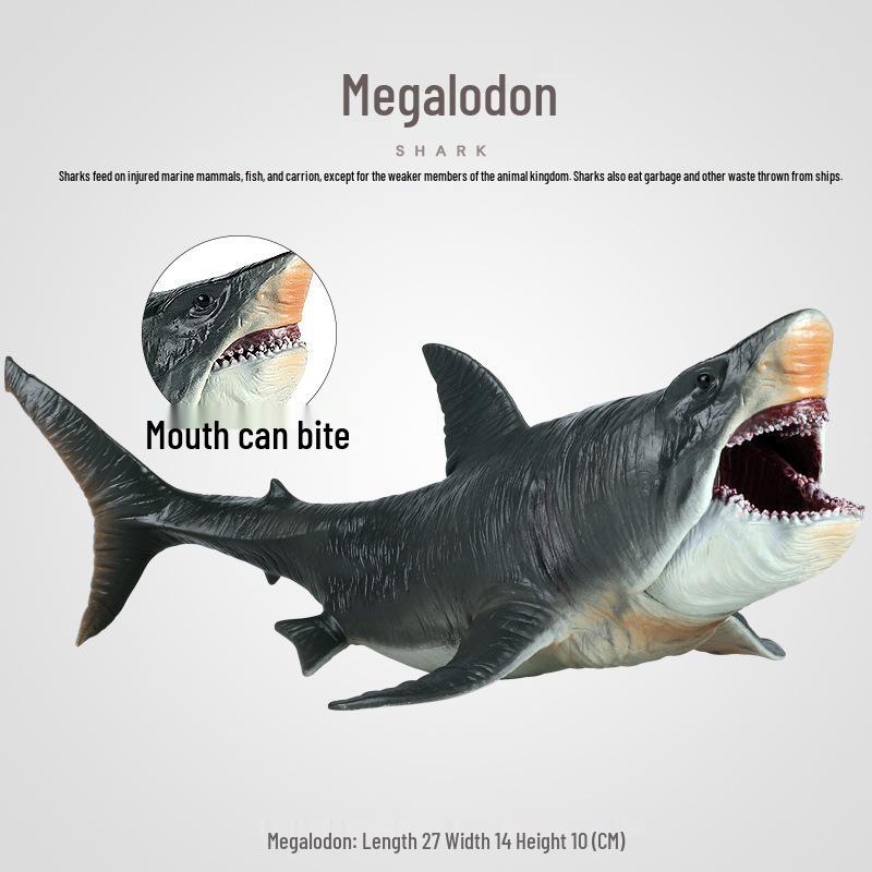 Large Prehistoric Megalodon Shark Toy - Children's Scientific Marine Animal Model