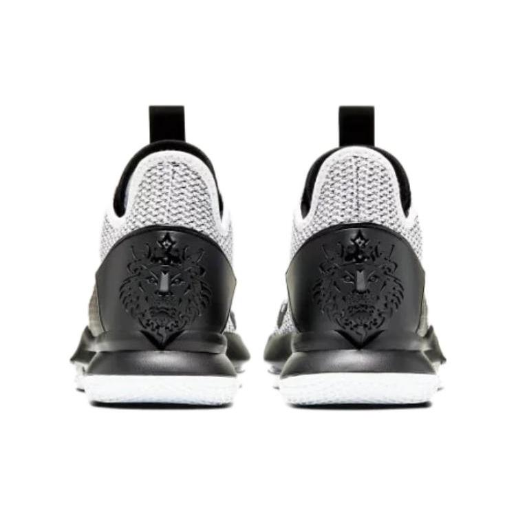 Nike LeBron Witness 4 Ep Biały Czarny CD0188-101