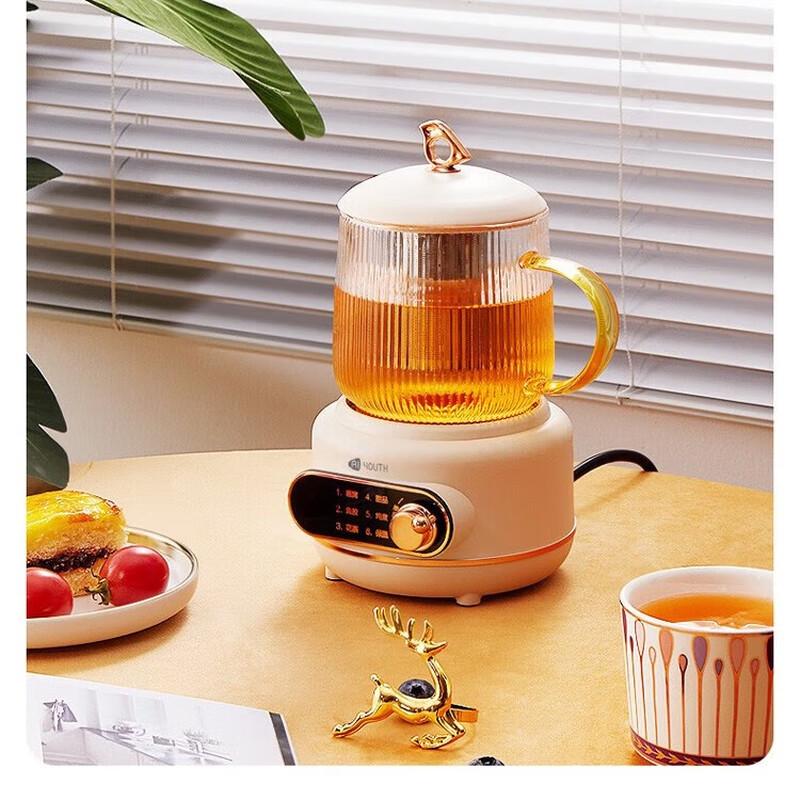 Ai Qing Chun Multi-functional Health Pot 0.8L