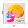 Età 3+ Gioco Puzzle Educativo in Legno sull'Anatomia del Cervello Giocattolo Educativo Cognitivo Multicolore per la Scienza Precoce Giocattoli Montessori