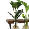 Flower Vase Glass Wooden Frame Transparent Display Flowers Plant Terrarium Modern for