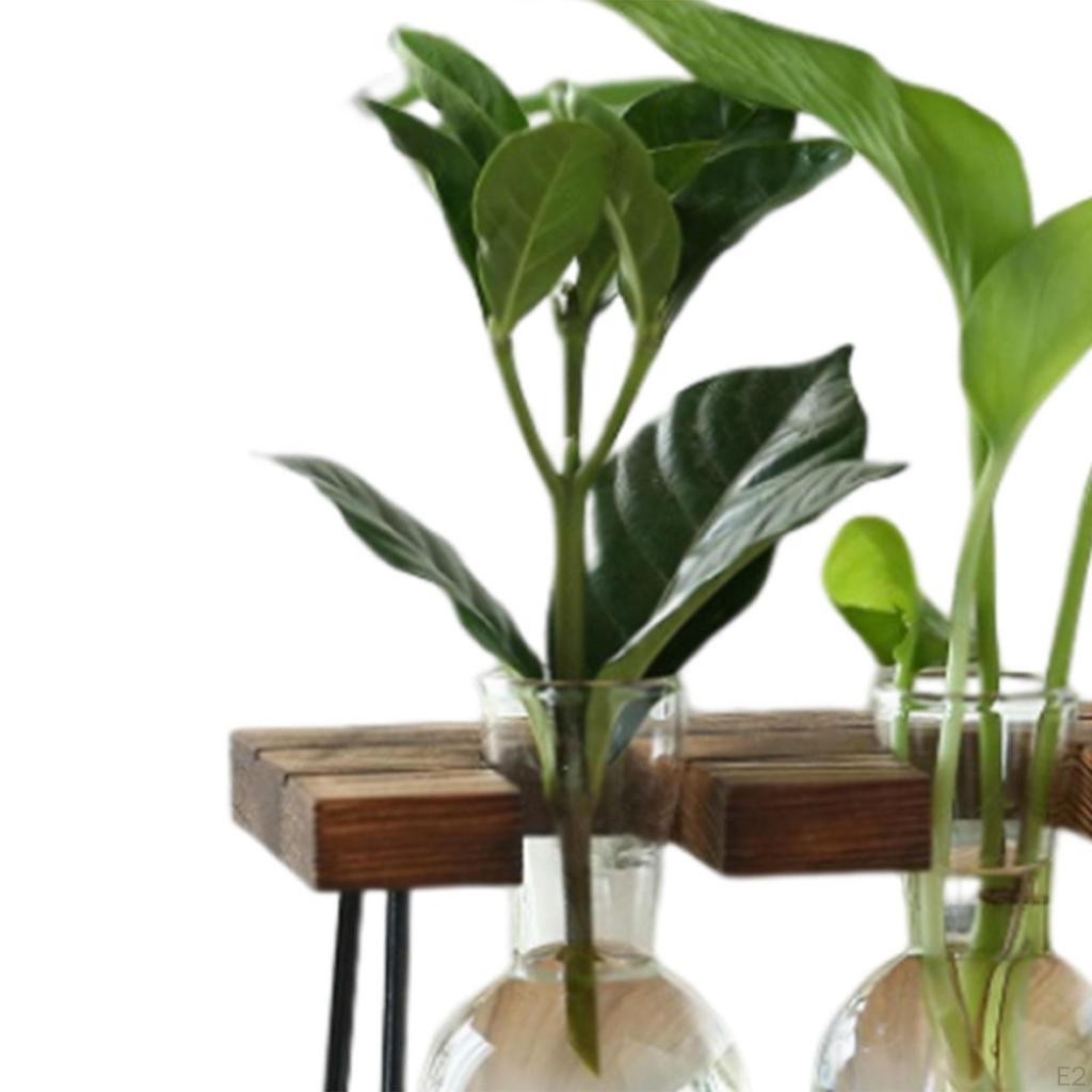 Flower Vase Glass Wooden Frame Transparent Display Flowers Plant Terrarium Modern for
