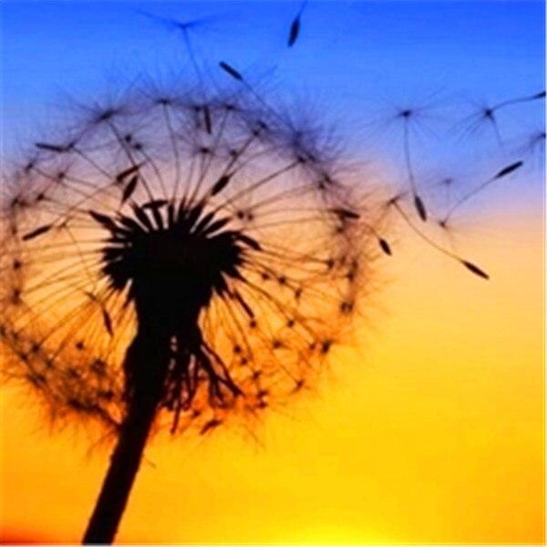 Diamond Painting Kit Flower Landscape 5D DIY Diamond Embroidery Sale Dandelion Pictures Of Rhinestones Handicraft