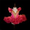 Summer Stage Ballet Dance Dress Girls Performance Tutu Kids Clothes Vestido Girl Mesh Princess Dress for Children's Day