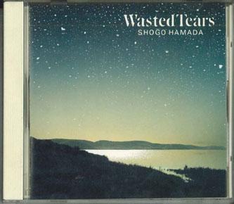 

CD SHOGO HAMADA - Wasted Teats SRCL2355 SONY Japan Japanese Pop/Rock Used