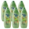 Rejoice Anti-Dandruff & Oil Control Daily Care Shampoo