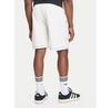 Шорты спортивные adidas Trefoil Essentials