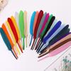 50Pcs20 Colors Colored Goose Feather Small Straight Knife Feather Diy Colored Feather Kindergarten Handmade Feather