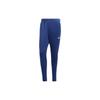 Tiro Pants Victory Blue Men Streetwear HS7489