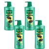 Hazeline Black Shine Nourishing Shampoo