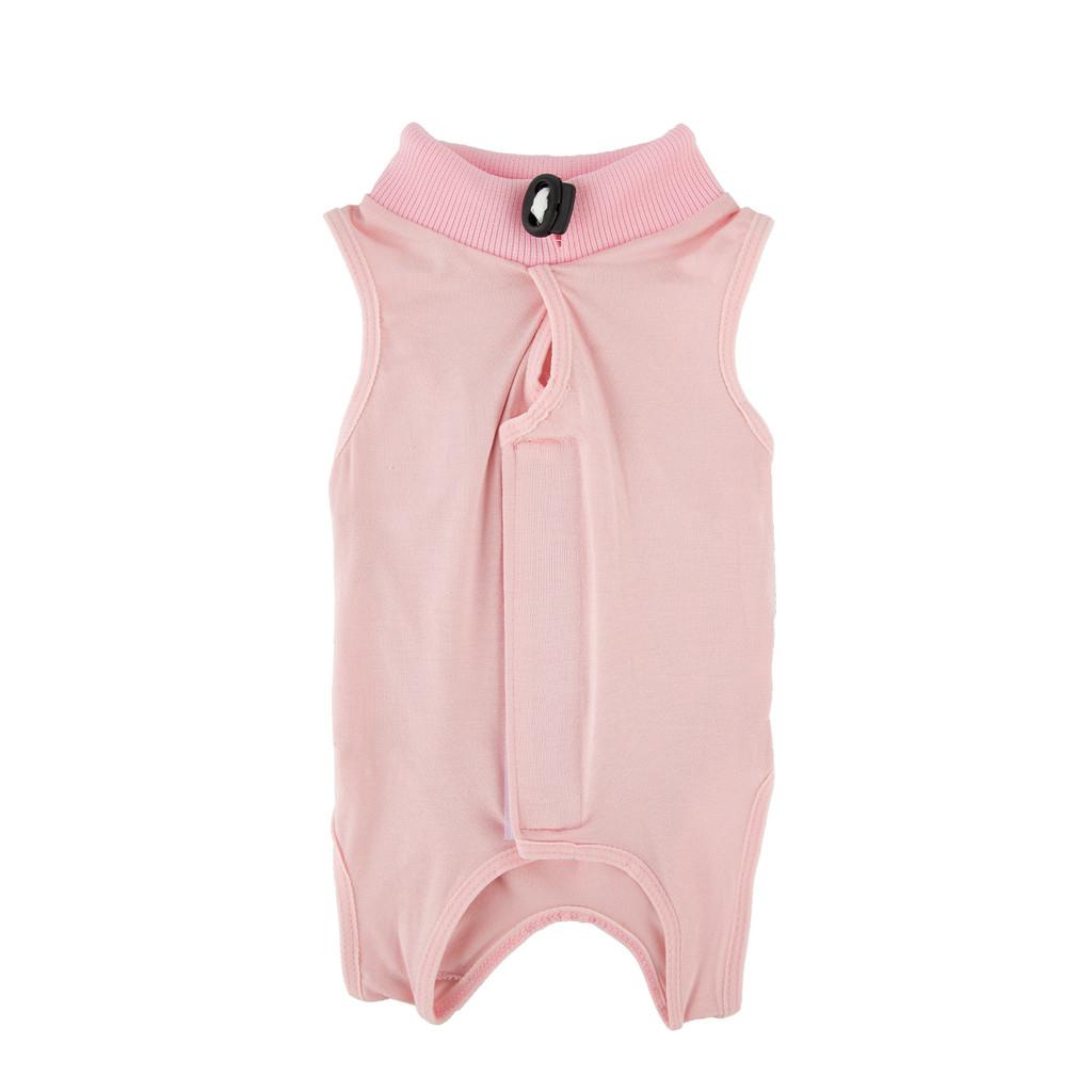

Soft And Comfortable Cat Neutering Recovery Suit For Kittens In Pink Purple Or Blue M