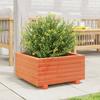 VidaXL Planter Wax Brown 50x50x26.5 Cm Solid Pine Wood, Outdoor Planter, Flower Box, Plant Box, 847295