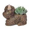 Plateau Yak Resin Statue Ornament