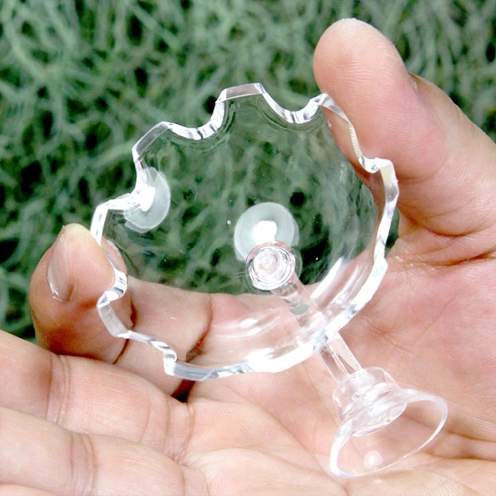 Suction Dish Suction Accessory Acrylic Feeding Tube New Clear Glass Feeding Tube