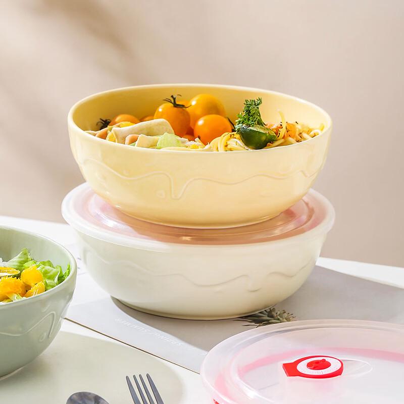 Ruhan Ceramic Divided Meal Bowls