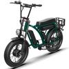 PHILIAM ET9 Electric Bike 1500W 52V 50Ah Dual Batteries 80-200 Miles Max Range 31 MPH Top Speed