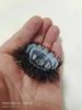 Silicone Sheep Eye Ponytail Cock Ring Hair Tie