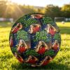 Billie Eilish Size 5 Soccer Ball, Durable Standard Football For Training Match Outdoor Sports