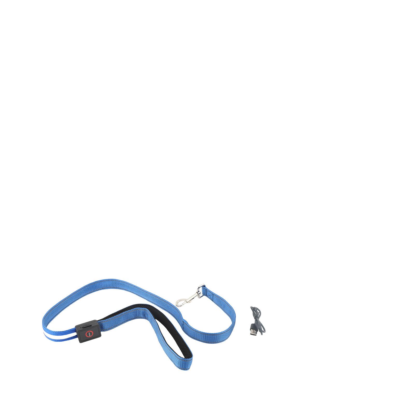 

LED Dog Leash 4FT Nylon Glow in The Dark Dog Leash USB Rechargeable Lighted Pet Rope for Night Walking