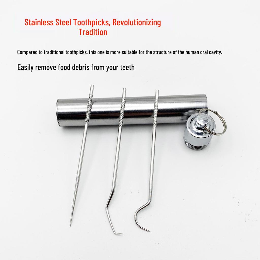 Portable 304 Stainless Steel Toothpick Set with Storage Tube for Oral Care