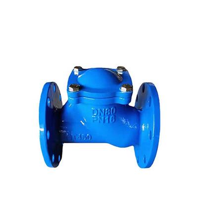 Ductile Cast Iron Horizontal Ball Check Valve