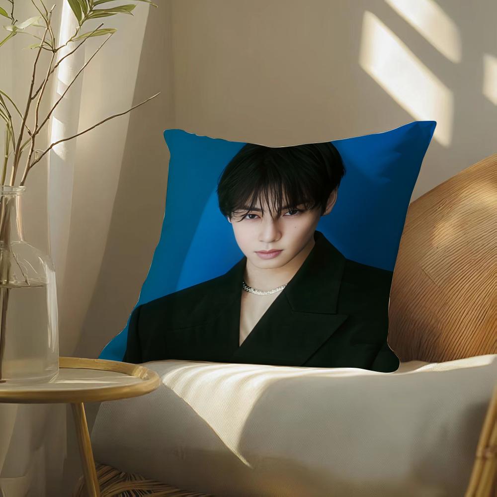 Singer Cha E-Eun W-Woo Cushion Cover Soft Short Plush Pillow Cover Smooth Cozy Texture Aesthetic Cushion Case Home Decor