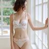 Clearance Sale Sexy Underwear Contrast Colors Small Breasts Show Big Gather Underwear Close Breasts Anti-sagging Upper Support Bra