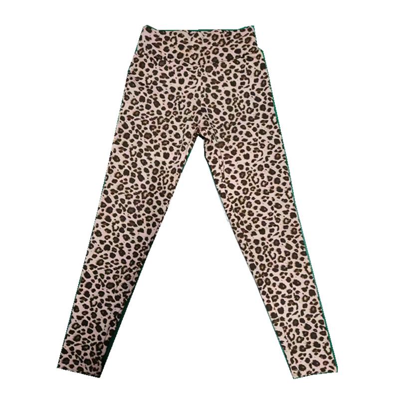 Women's High-Waisted Fleece-Lined Wool Leggings - Warm Skinny Yoga Pants for Autumn/Winter