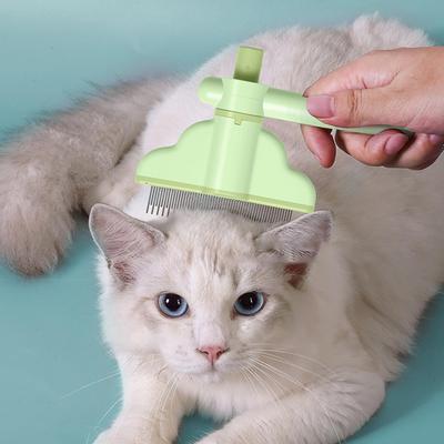 Köpek – Köpek bakım ürünleri