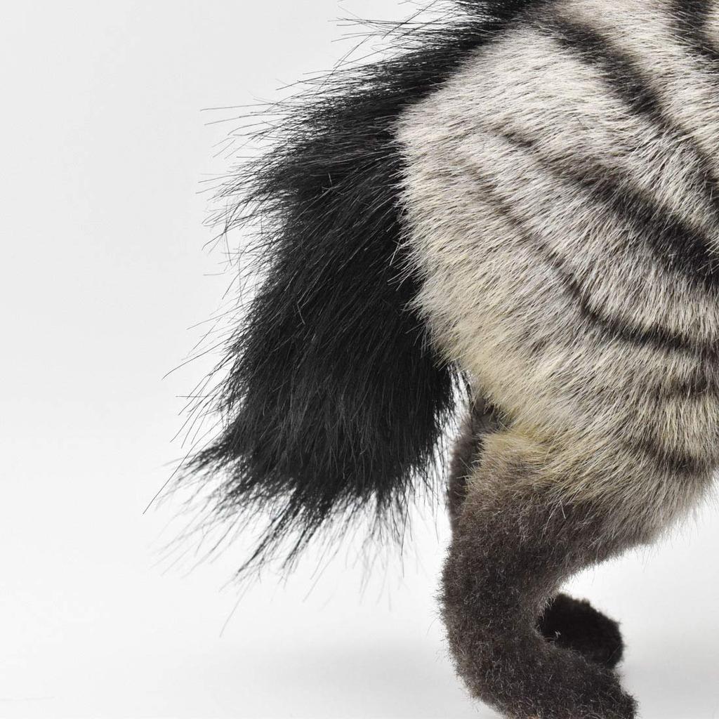 BH7840 HANSA Aardwolf Pup 28