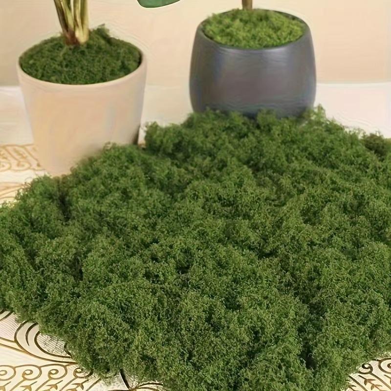 50g Green Fake Moss DIY Crafts Grass Artificial Moss Faux Preserved Moss Green Plant Home Room Garden Decor Landscape Fake Grass
