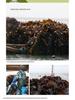Fujian Xiapu Handcrafted Sun-Dried Kelp, 1 lb - Sand-Free, High-Quality, Free Shipping