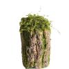 Forest Style Artificial Tree Stump with Moss Bark - Kindergarten and Country Style Decorative Ornament, Perfect for Landscaping or Inserting Flowers.