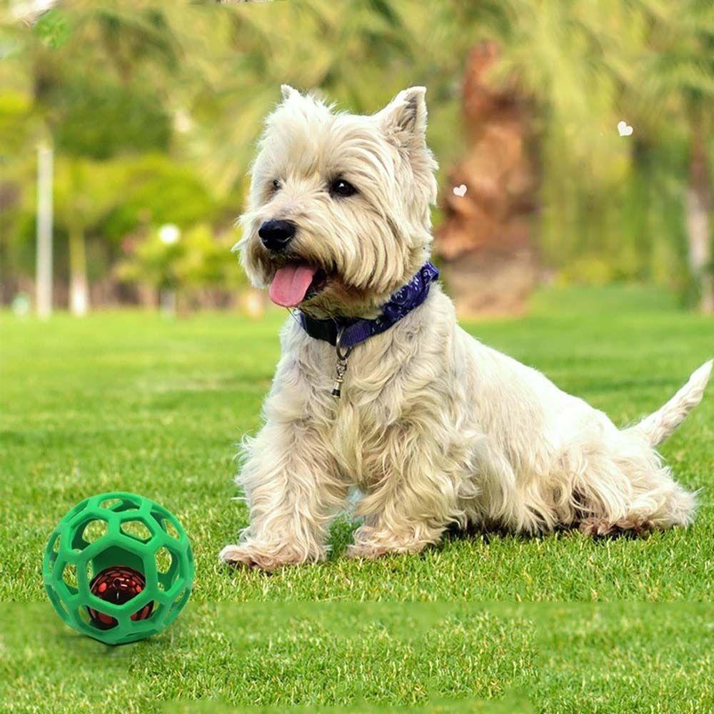 Medium Large Dogs Geometric Safety Toys Pet Accessories Pet Training Toy Dog Supplies Dog Chew Toy